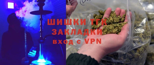 прущие грибы Арсеньев