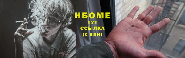 прущие грибы Арсеньев