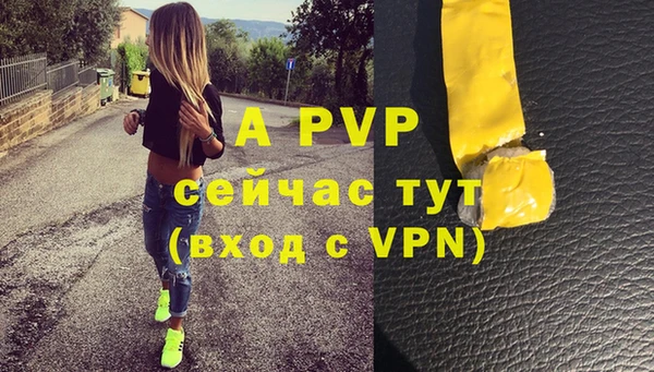 прущие грибы Арсеньев