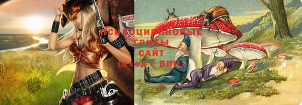 прущая мука Аркадак