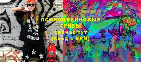 прущие грибы Арсеньев