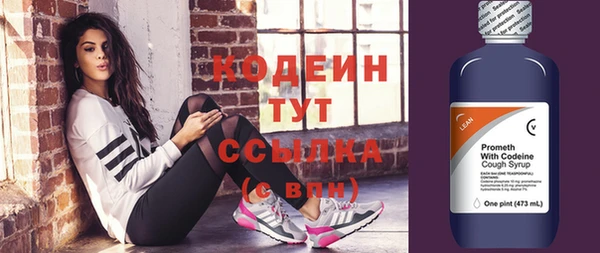 прущие грибы Арсеньев
