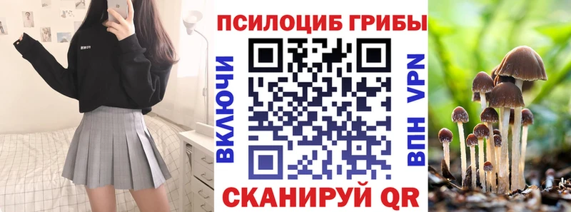 Псилоцибиновые грибы GOLDEN TEACHER  Можайск 